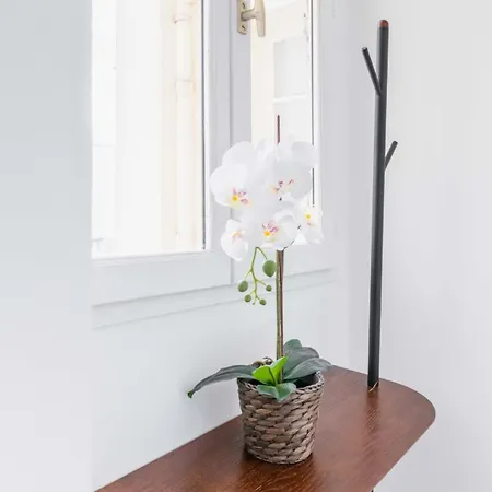 Fonctionnel Et Confortable - 10 - 2p * Parijs